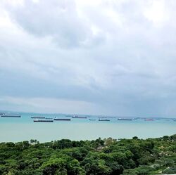 Seaside Residences (D15), Apartment #561808711